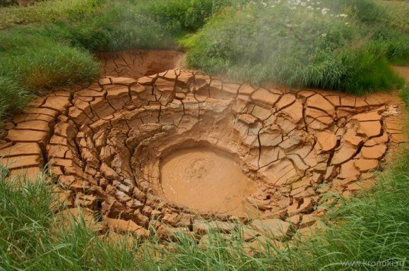 Зоогеографические и экологические особенности насекомых Долины Зоогеографические и экологические особенности насекомых Долины
