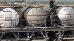 Камчатская Область Предприятия