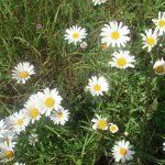 Северная Осетия Экскурсия